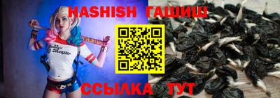 МДПВ Канаш