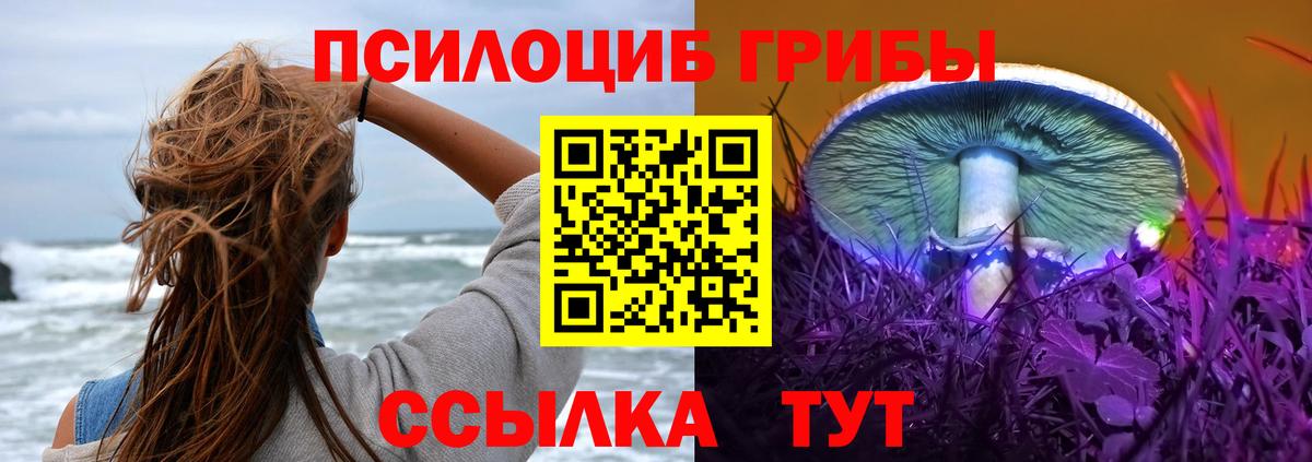 Псилоцибиновые грибы Psilocybe  Вход с VPN  магазин продажи наркотиков  Псилоцибиновые грибы MAGIC MUSHROOMS  Кингисепп 